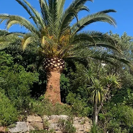Bed & Breakfast Paradis Provencal *
