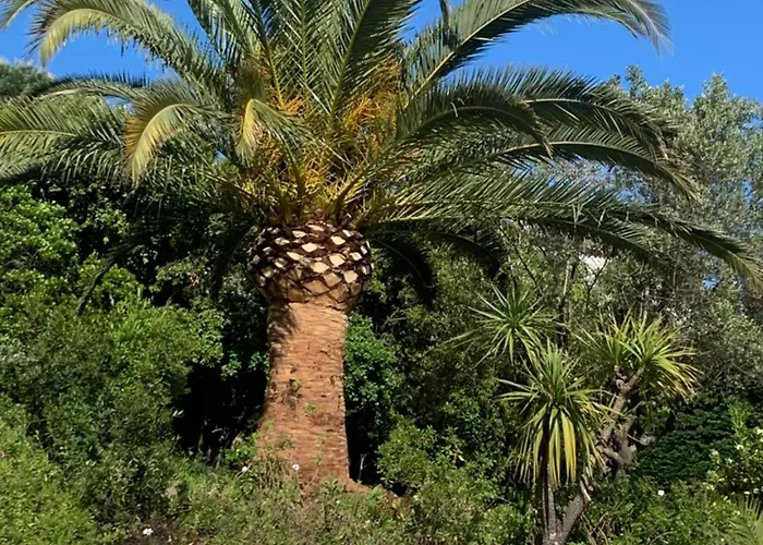 Bed & Breakfast Paradis Provencal 4*